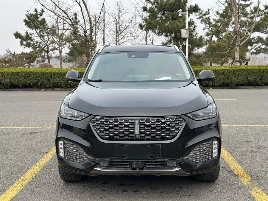 Wey VV6