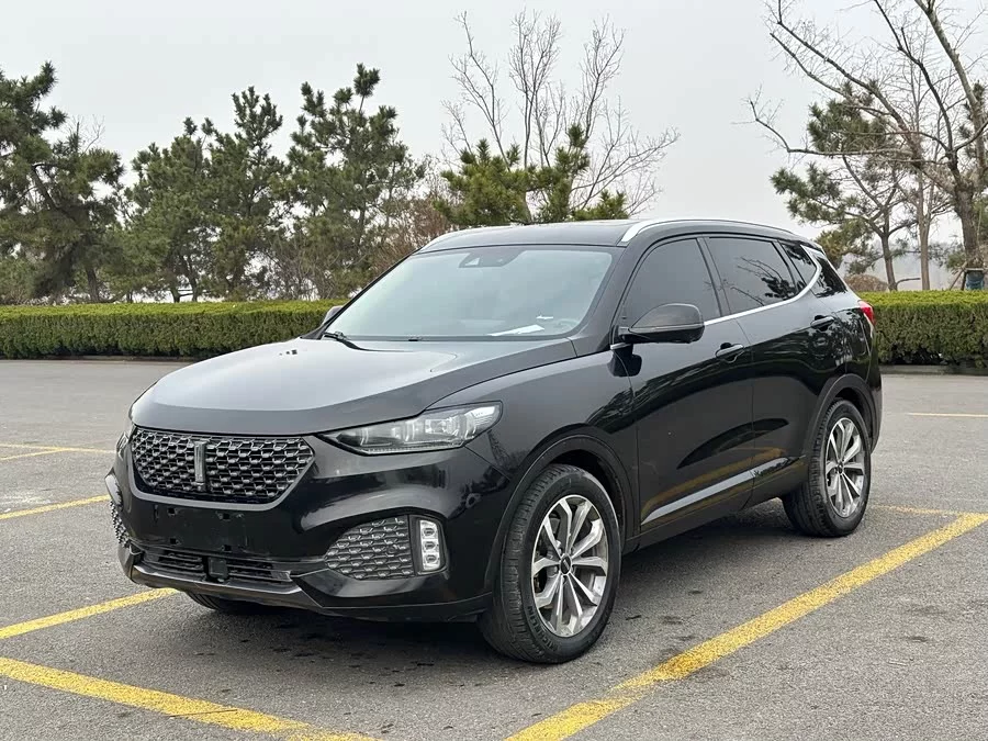 Wey VV6
