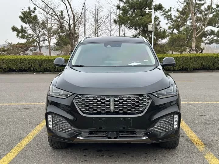 Wey VV6