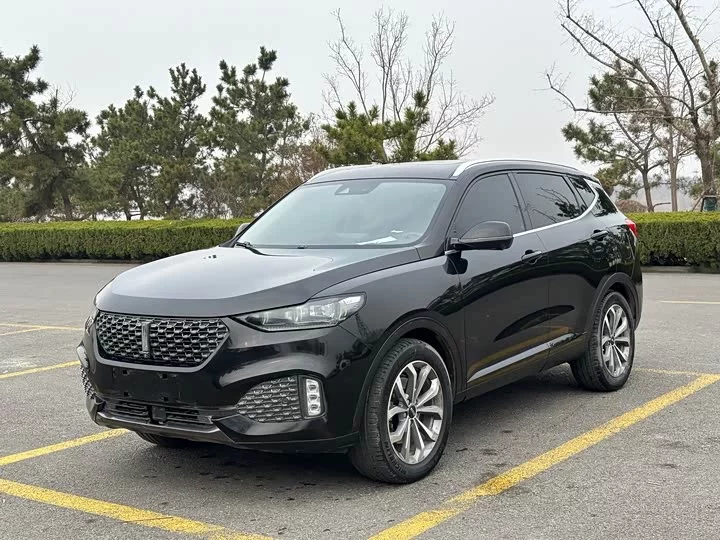 Wey VV6