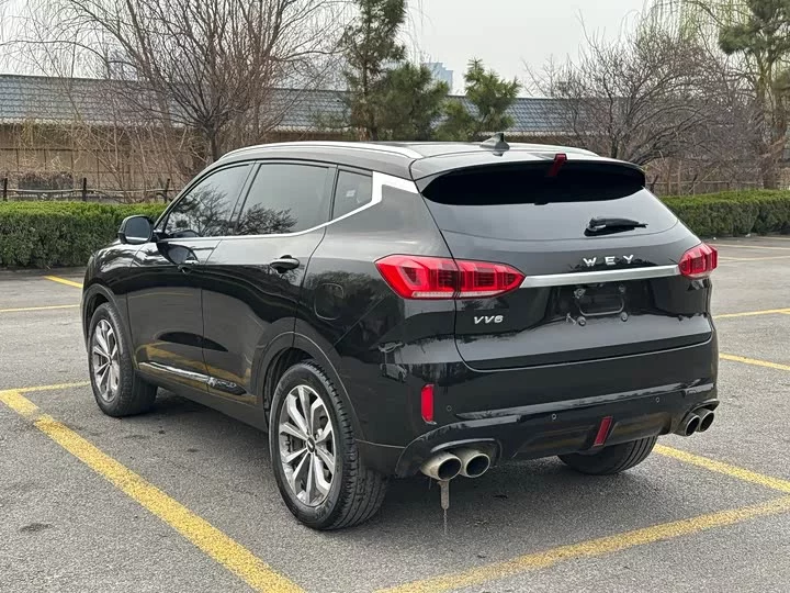 Wey VV6
