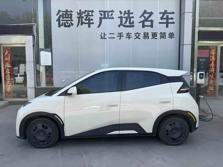 BYD Seagull