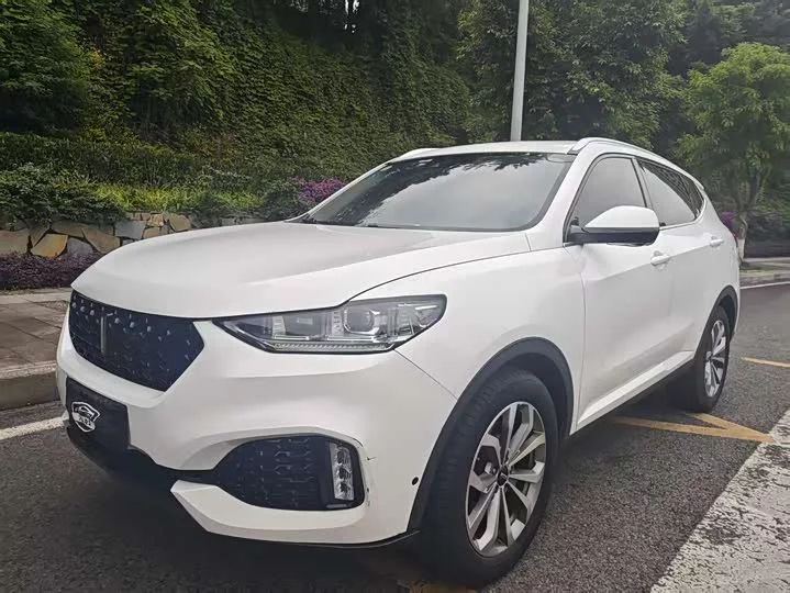 Wey VV6