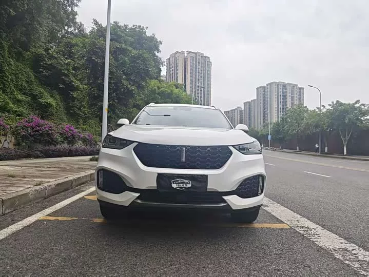 Wey VV6