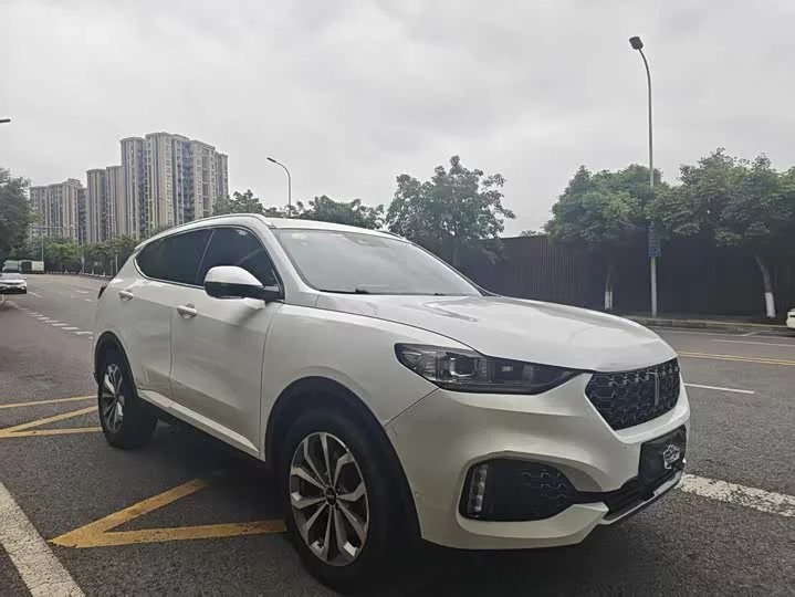 Wey VV6