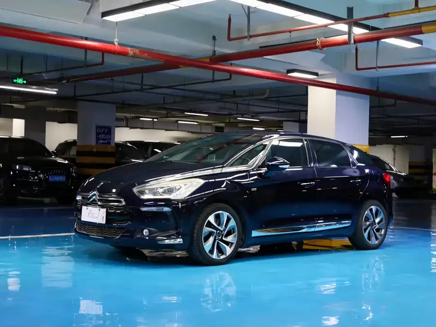 DS 5