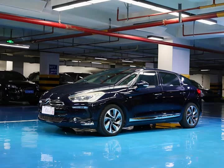 DS 5