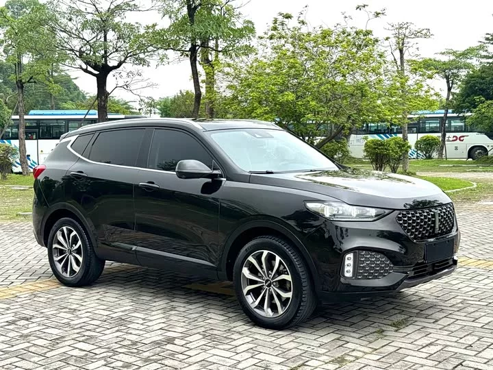 Wey VV6