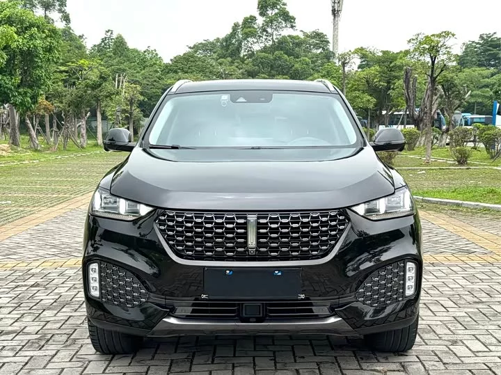 Wey VV6
