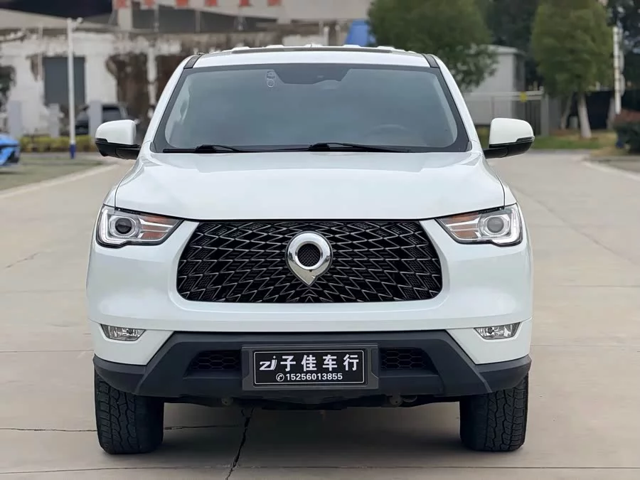 Great Wall gun