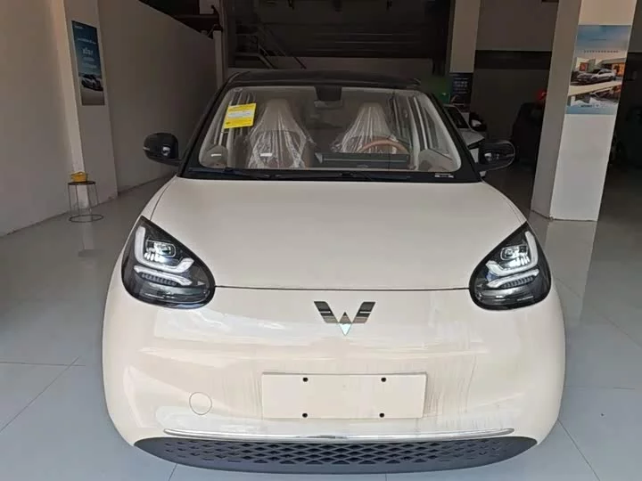 Wuling Bingo