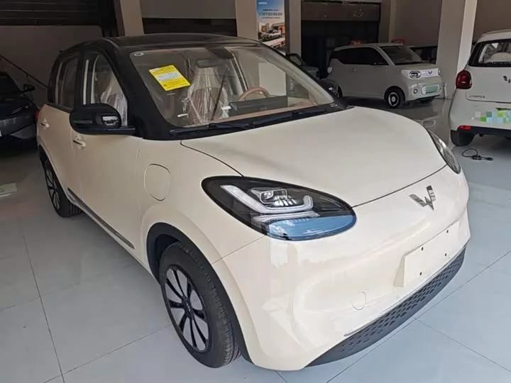 Wuling Bingo