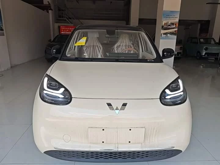 Wuling Bingo
