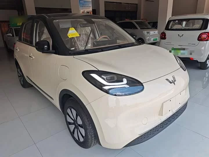 Wuling Bingo
