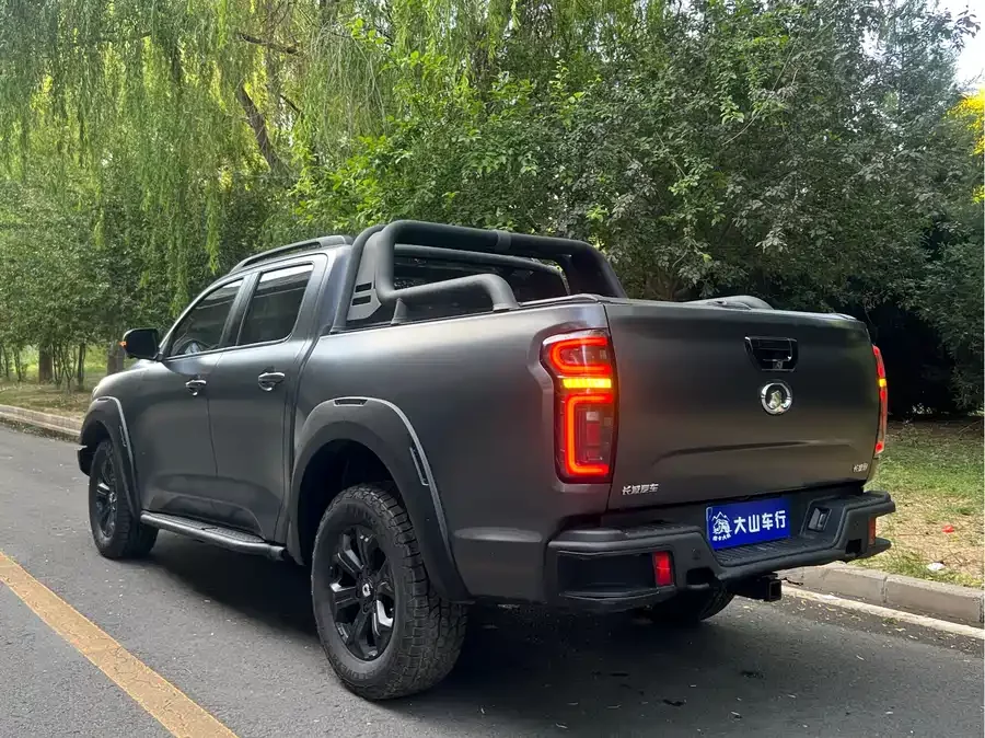 Great Wall gun