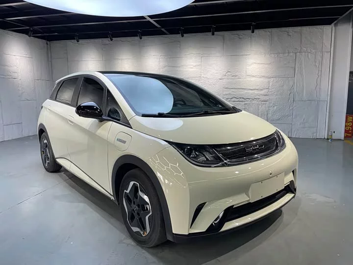 BYD dolphin