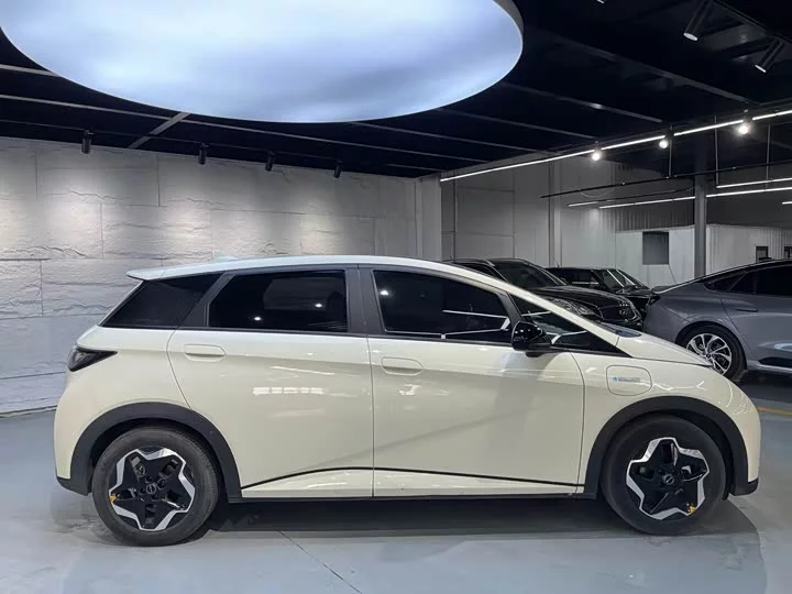 BYD dolphin