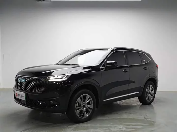 Haval H6 new energy
