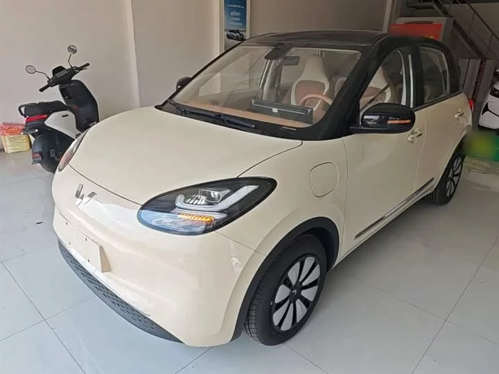 Wuling Bingo