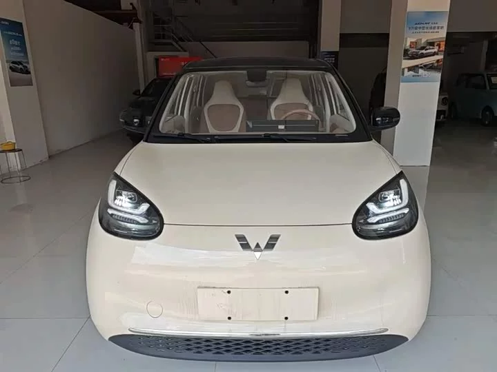 Wuling Bingo