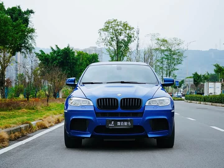 BMW X6 M