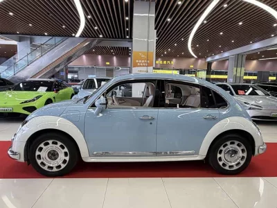 ORA Ballet Cat