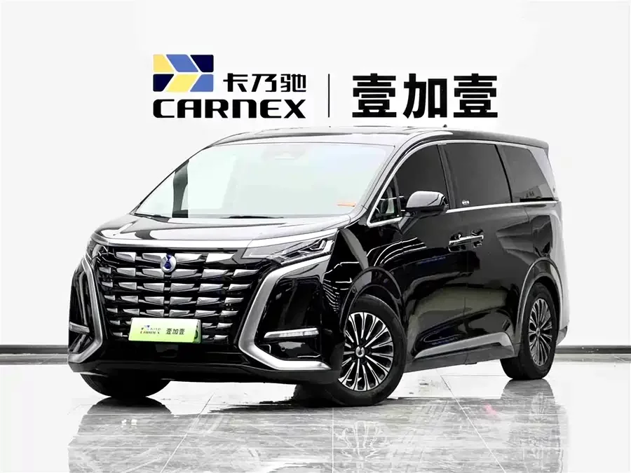 BYD D9