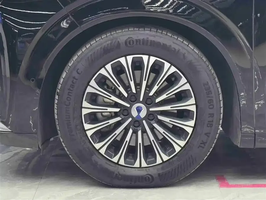 BYD D9