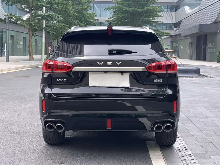 Wey VV6