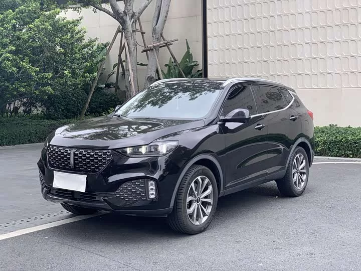 Wey VV6