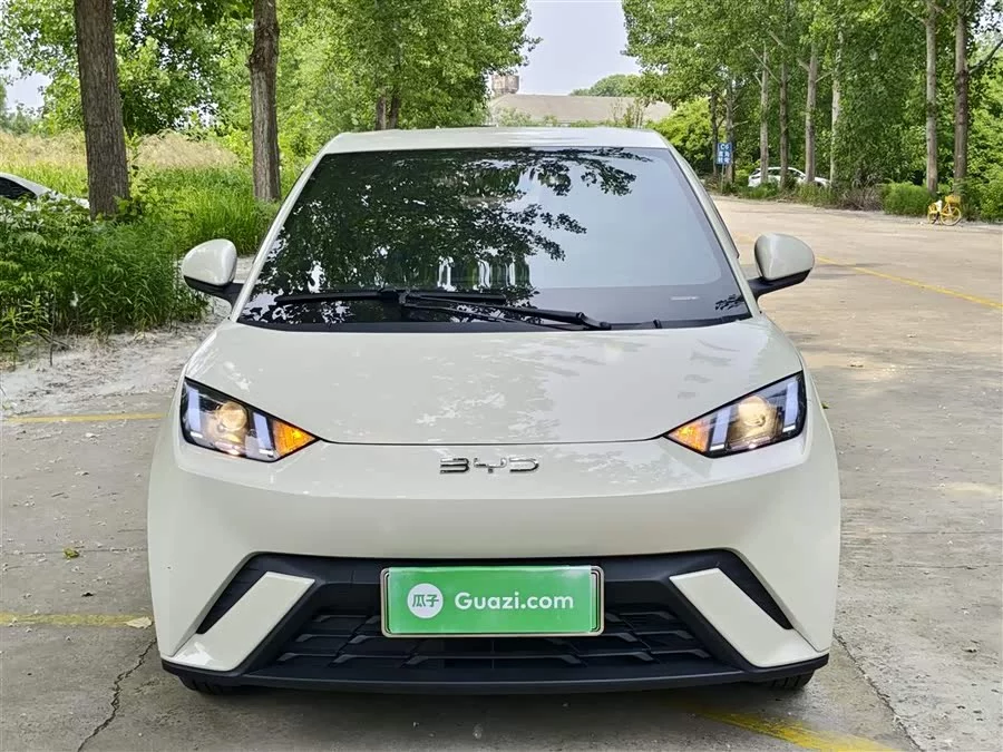 BYD Seagull