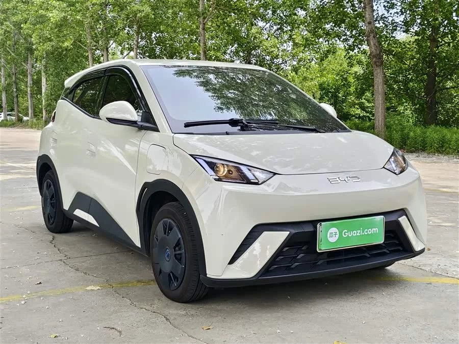 BYD Seagull