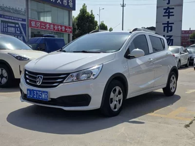 Baojun 310