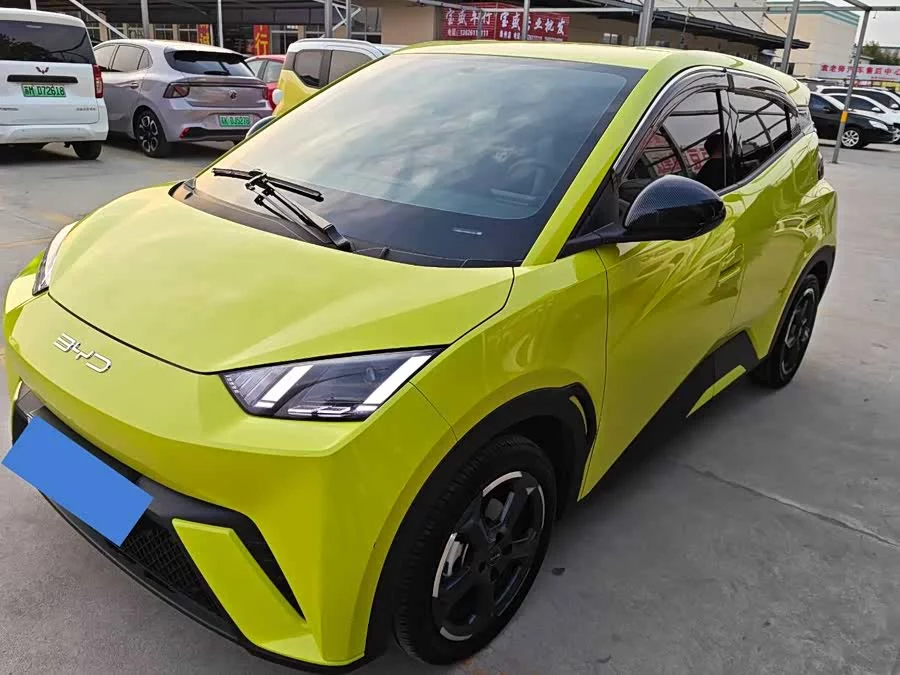 BYD Seagull