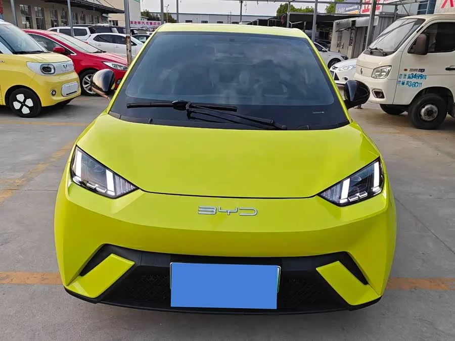 BYD Seagull