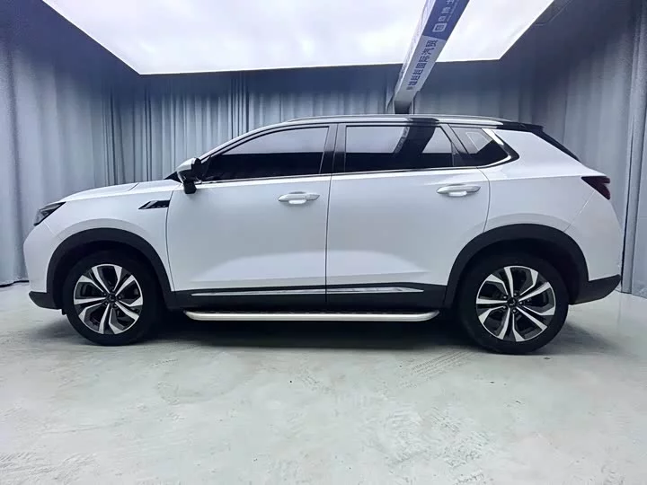 Wuling Star