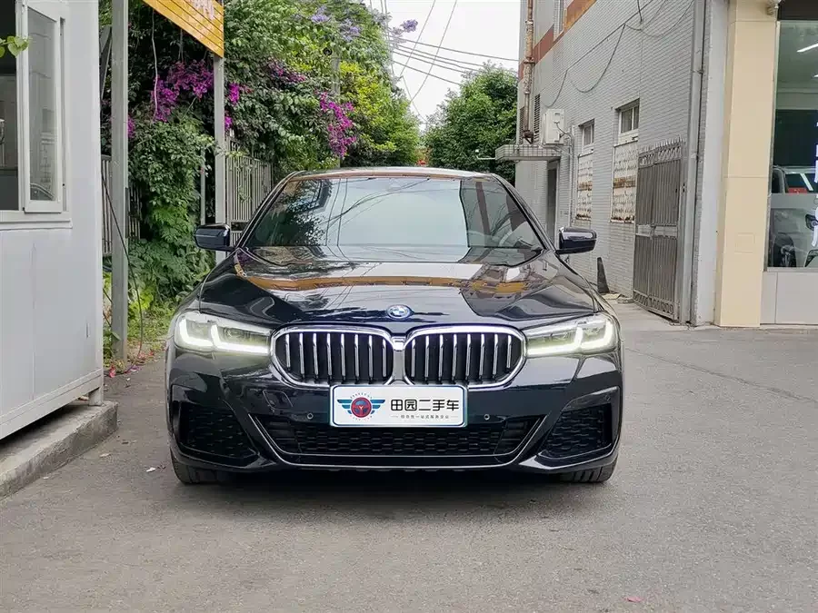 BMW 5 Series New Energy