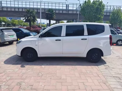 Wuling Hongguang New Energy