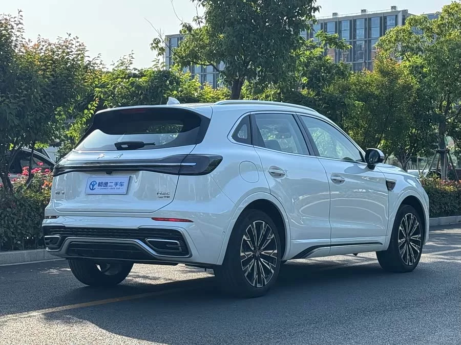 Hongqi HS5