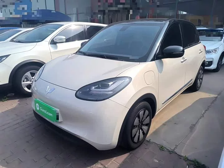 Wuling Bingo