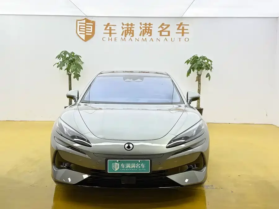 BYD Z9GT