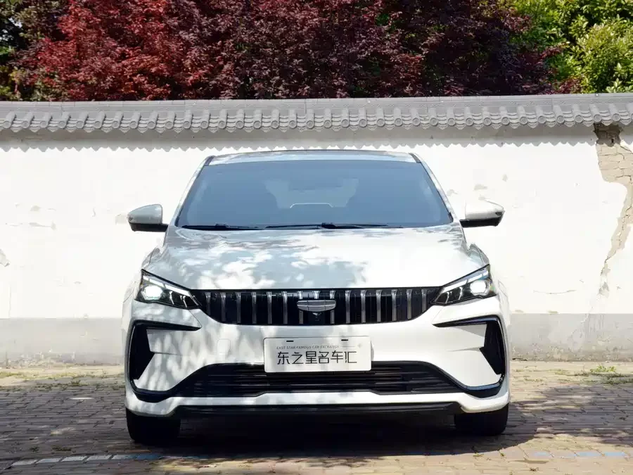 Geely Binrui