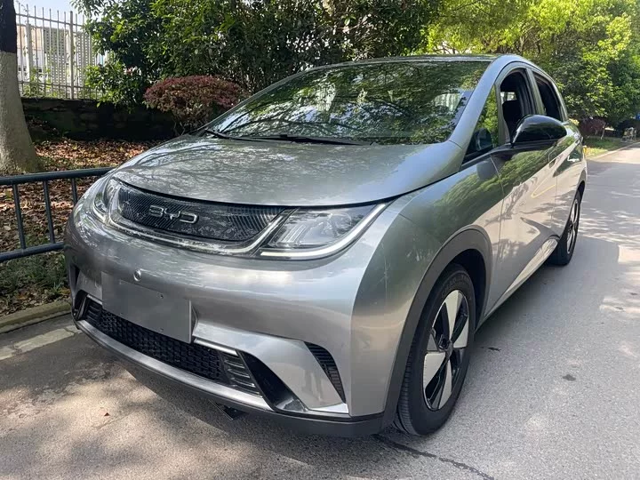 BYD dolphin