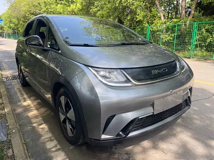 BYD dolphin