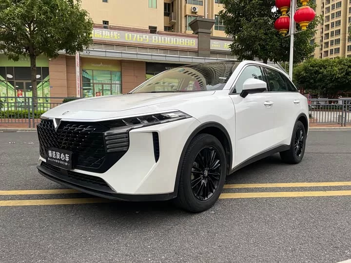 Kai Chen Big V