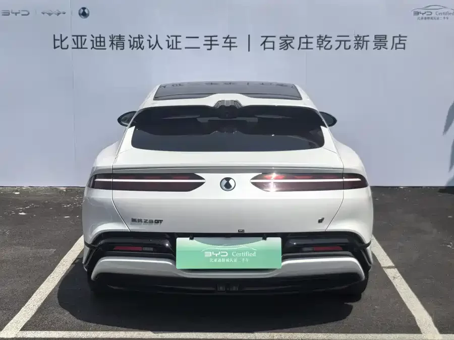 BYD Z9GT