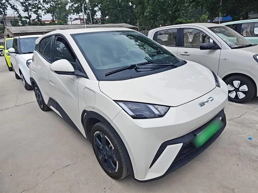 BYD Seagull