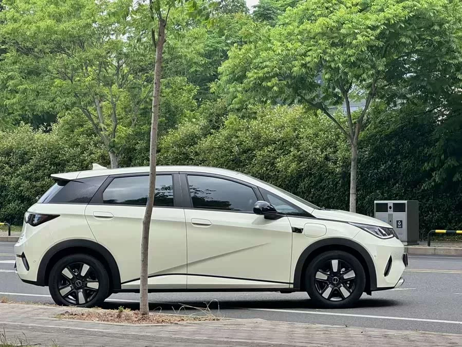 BYD Dolphin