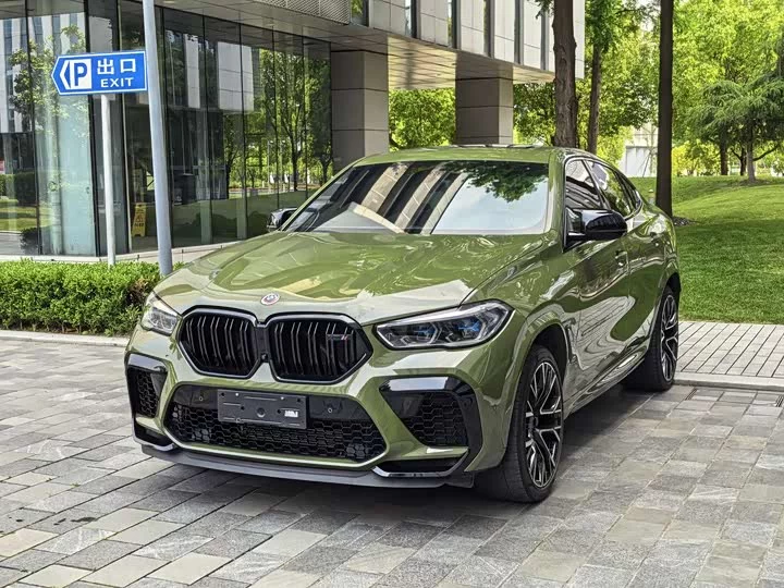 BMW X6 M