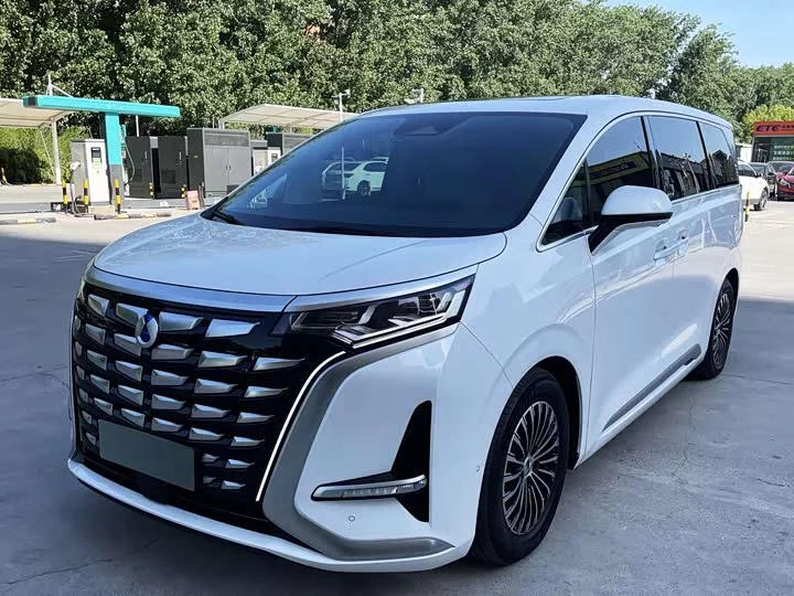 Denza D9